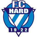 奥地利卢斯特瑙B队